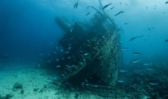 BALENA Wreck 